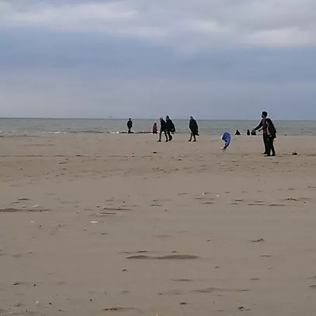 Mambo At The Beach * Den Haag